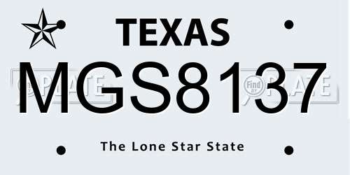 MGS8137 Texas License Plate
