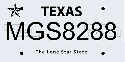 MGS8288 Texas License Plate