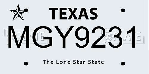 MGY9231 Texas License Plate