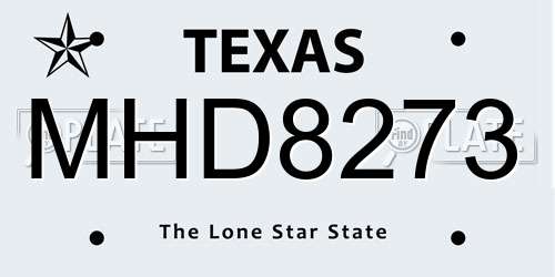MHD8273 Texas License Plate