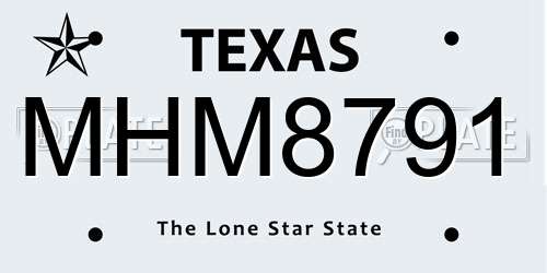 MHM8791 Texas License Plate