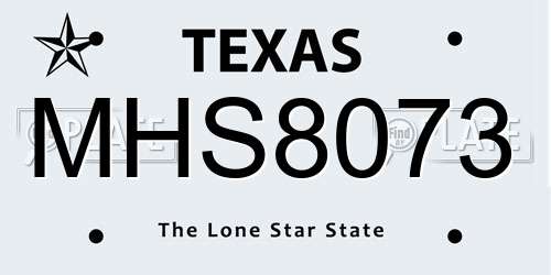 MHS8073 Texas License Plate
