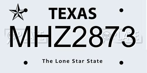 MHZ2873 Texas License Plate