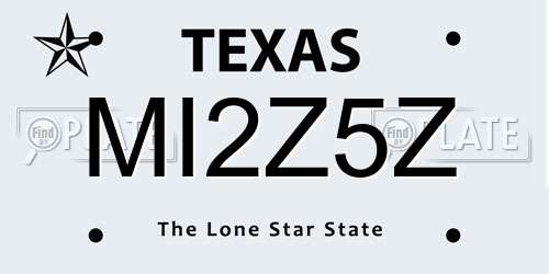 MI2Z5Z Texas License Plate