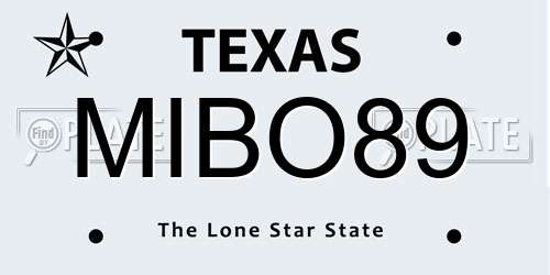 MIBO89 Texas License Plate