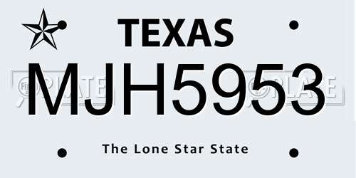 MJH5953 Texas License Plate