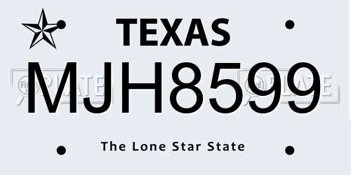 MJH8599 Texas License Plate