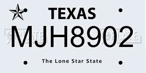 MJH8902 Texas License Plate