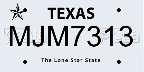 MJM7313 Texas License Plate