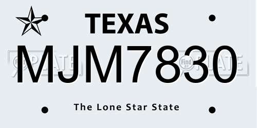 MJM7830 Texas License Plate