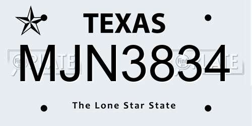 MJN3834 Texas License Plate
