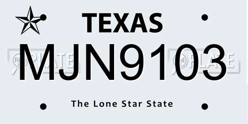 MJN9103 Texas License Plate