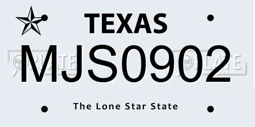 MJS0902 Texas License Plate