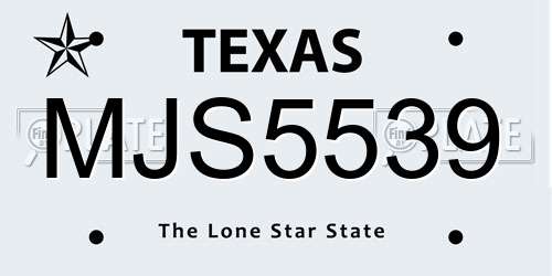 MJS5539 Texas License Plate