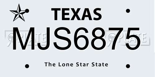 MJS6875 Texas License Plate