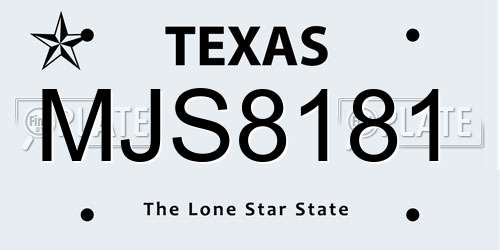 MJS8181 Texas License Plate