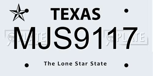 MJS9117 Texas License Plate
