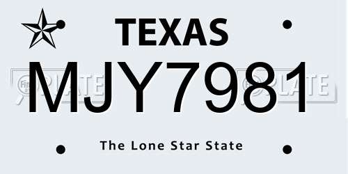 MJY7981 Texas License Plate