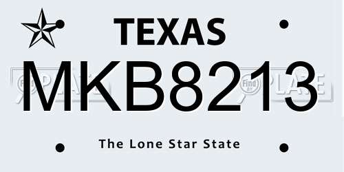 MKB8213 Texas License Plate