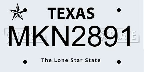 MKN2891 Texas License Plate