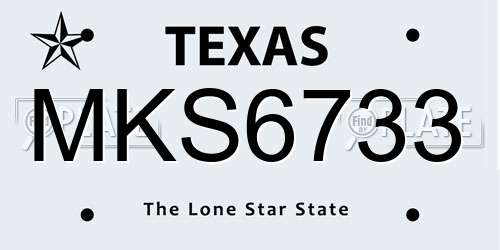 MKS6733 Texas License Plate