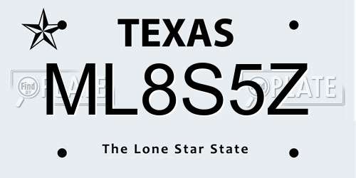 ML8S5Z Texas License Plate