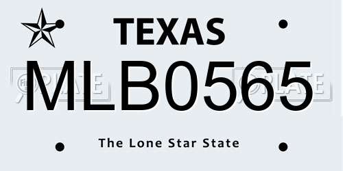 MLB0565 Texas License Plate