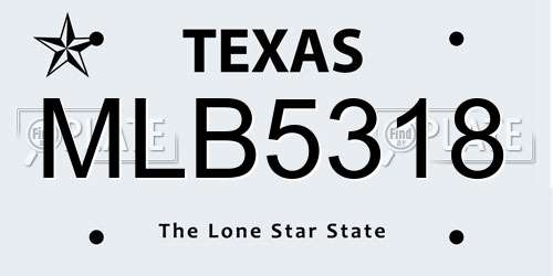MLB5318 Texas License Plate