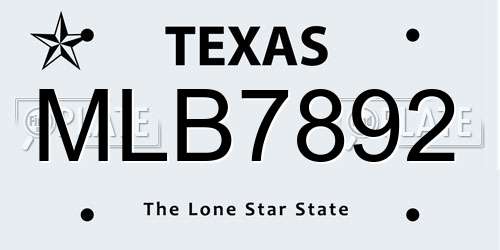 MLB7892 Texas License Plate
