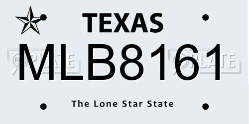 MLB8161 Texas License Plate