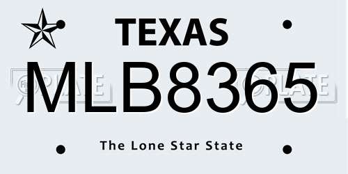 MLB8365 Texas License Plate