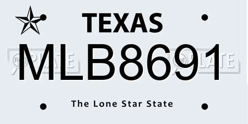MLB8691 Texas License Plate