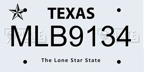 MLB9134 Texas License Plate