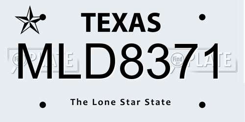 MLD8371 Texas License Plate