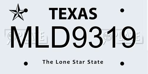 MLD9319 Texas License Plate