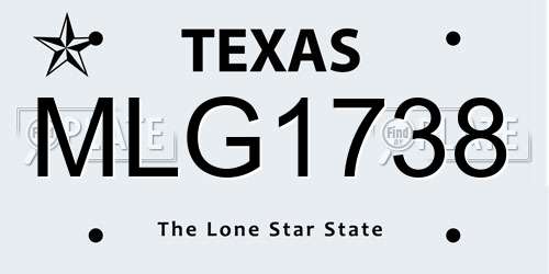 MLG1738 Texas License Plate