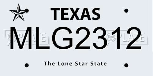 MLG2312 Texas License Plate