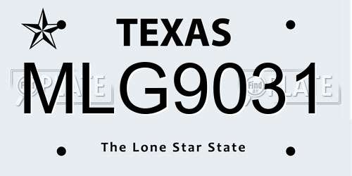 MLG9031 Texas License Plate