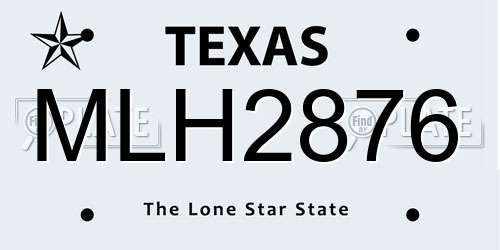 MLH2876 Texas License Plate