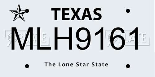 MLH9161 Texas License Plate