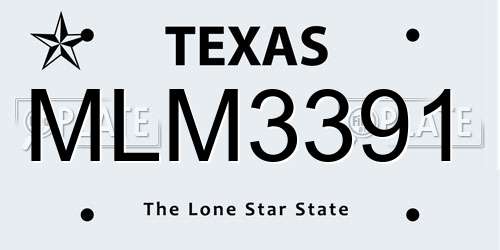MLM3391 Texas License Plate