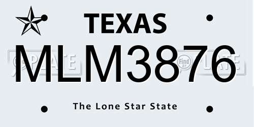 MLM3876 Texas License Plate