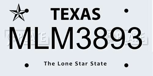 MLM3893 Texas License Plate