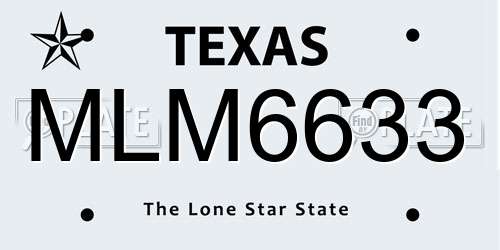MLM6633 Texas License Plate