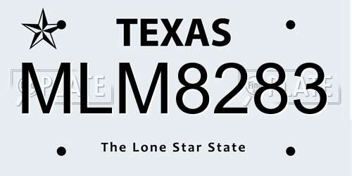 MLM8283 Texas License Plate