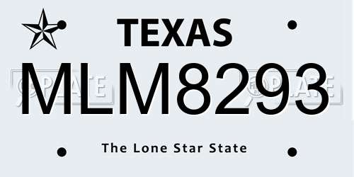 MLM8293 Texas License Plate