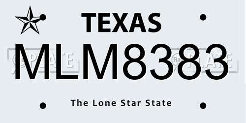 MLM8383 Texas License Plate