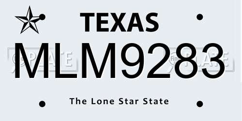 MLM9283 Texas License Plate