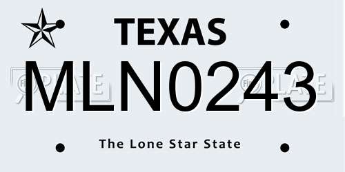 MLN0243 Texas License Plate