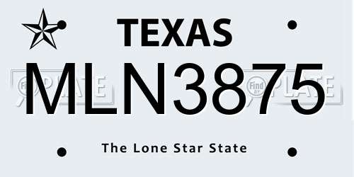 MLN3875 Texas License Plate